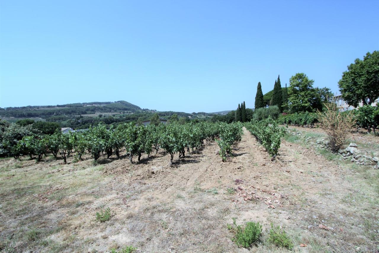 Bastide La Marraine Villa Le Castellet  Dış mekan fotoğraf